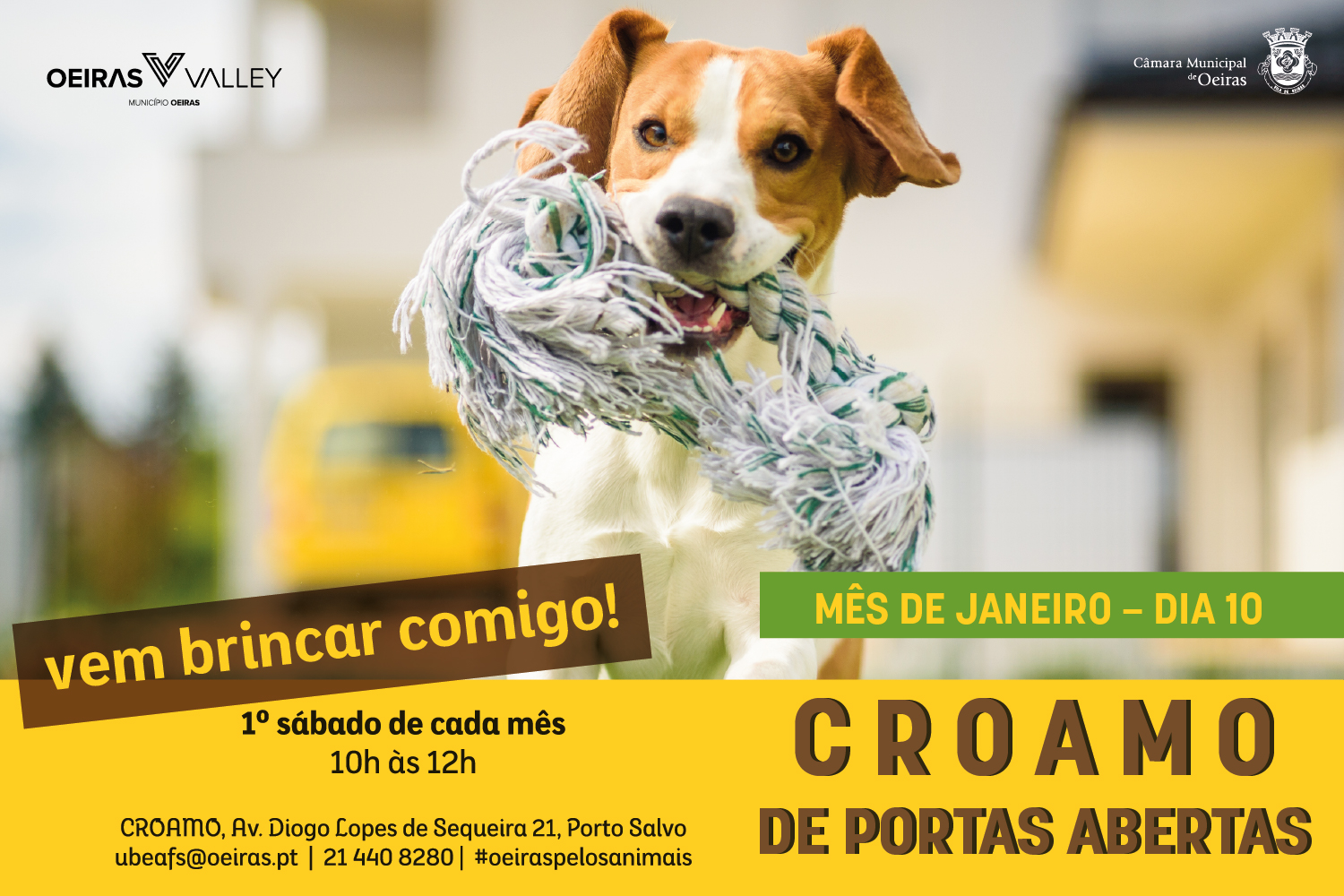 banner alusivo ao tema