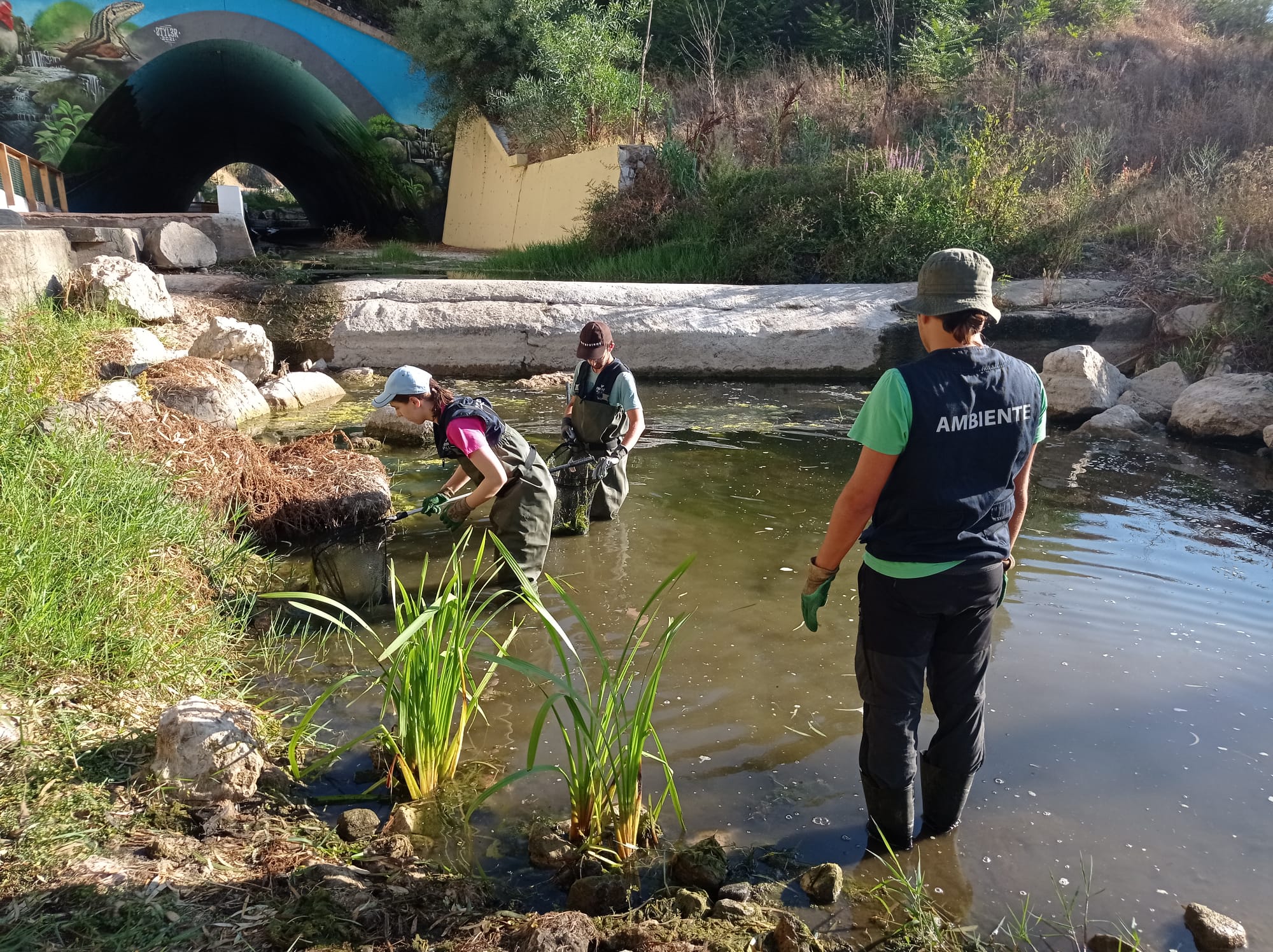 Fotografia de voluntários a trabalhar nas margens do Rio Jamor