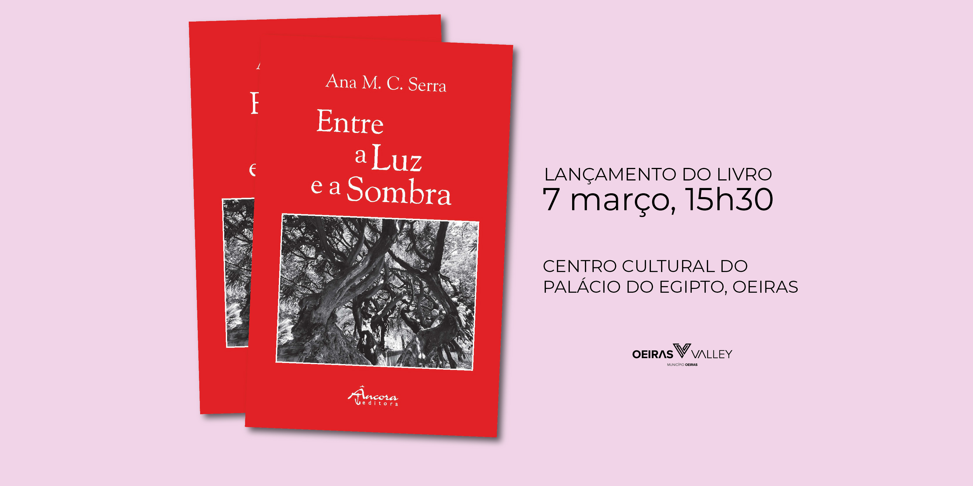 banner alusivo ao vento