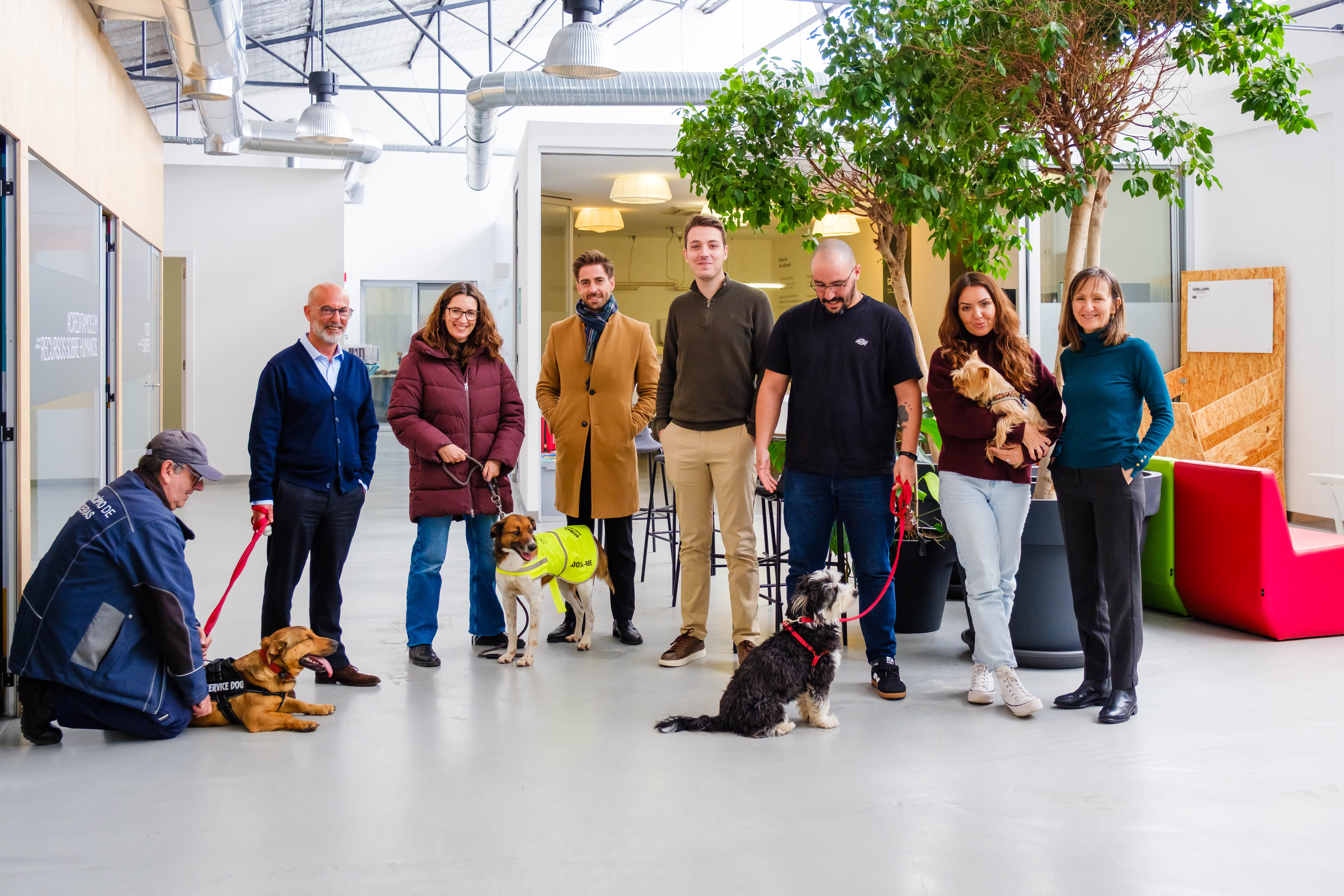 fotografia de grupo com 2 cães