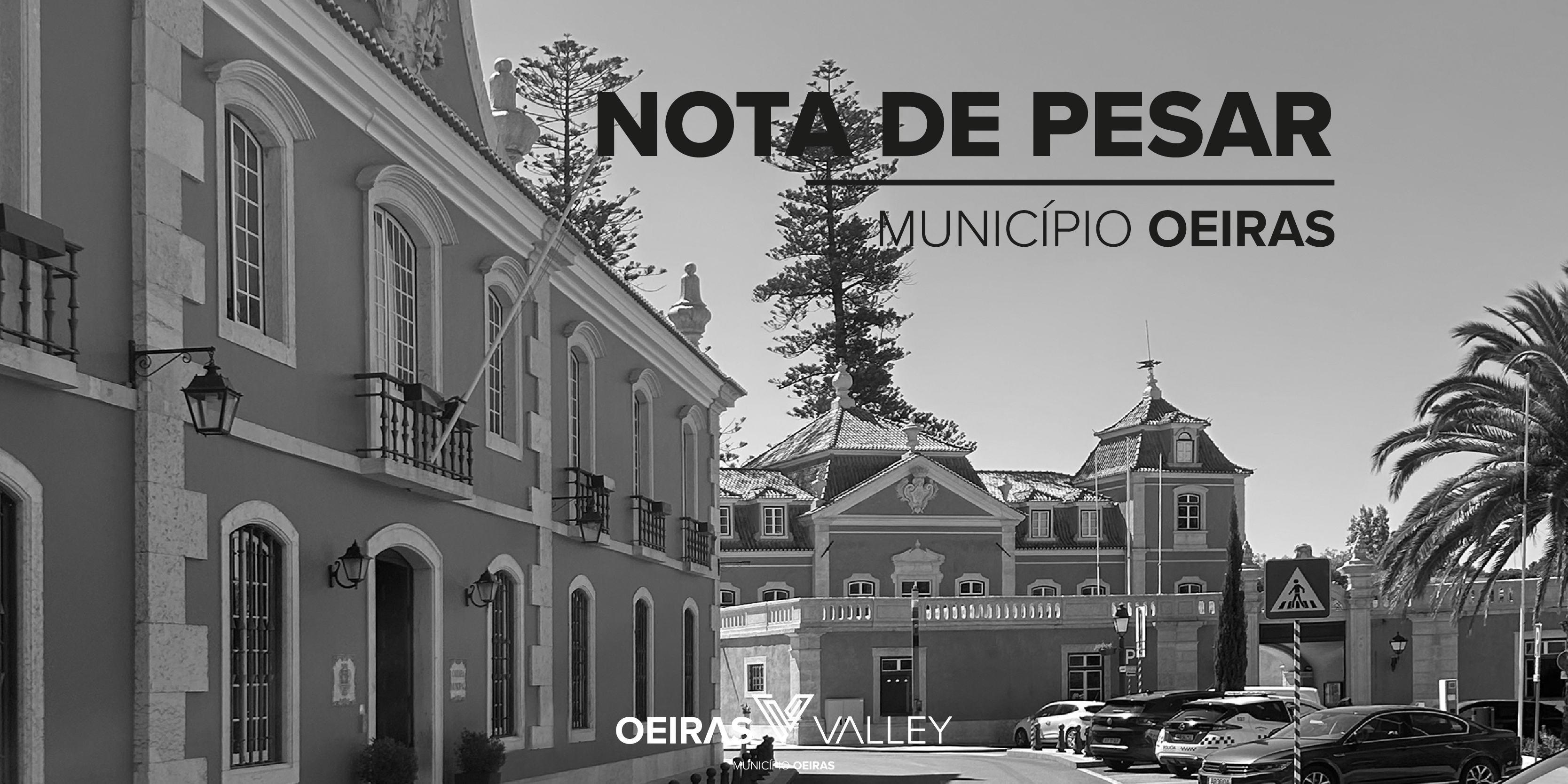 banner alusivo ao tema