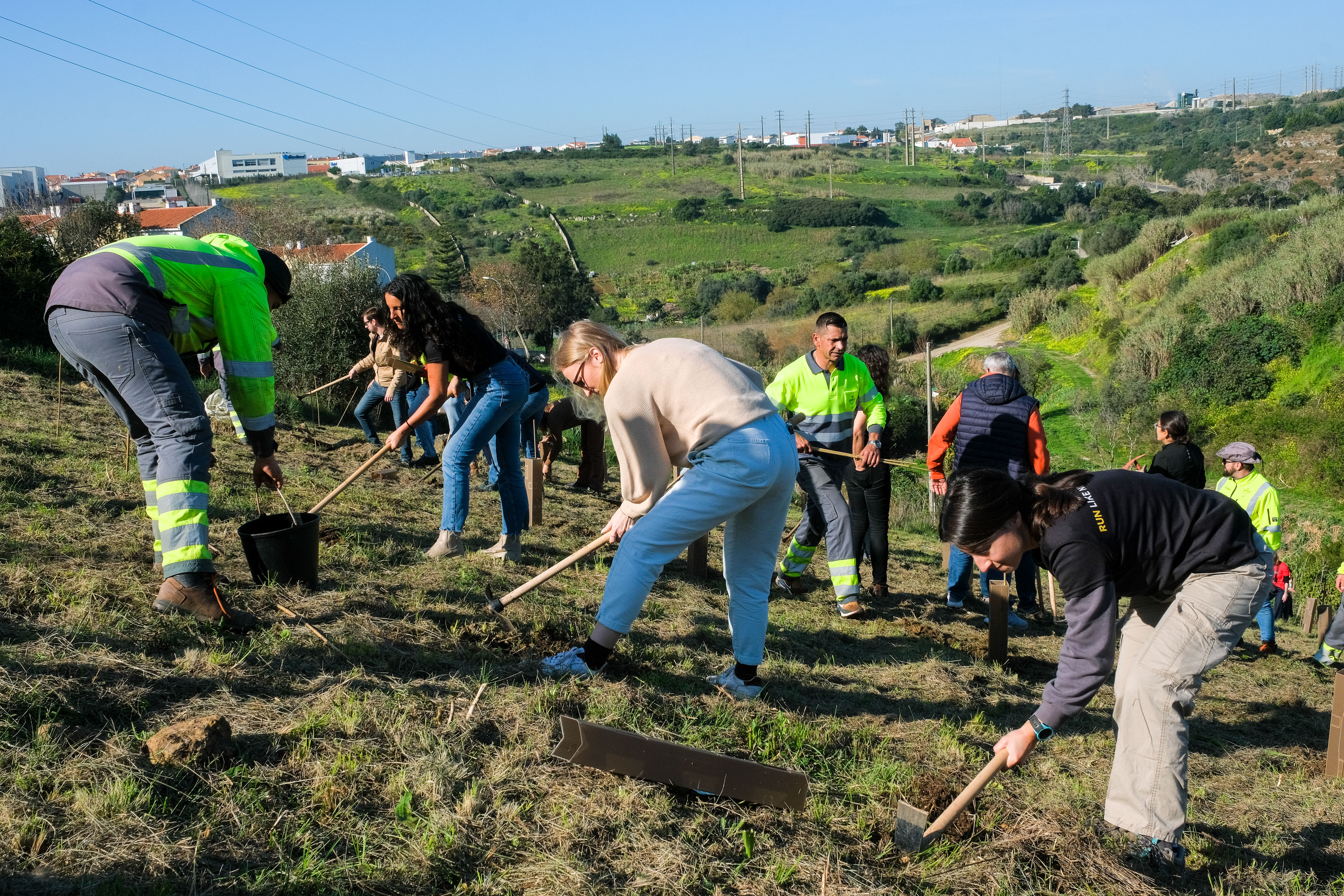 Voluntários a plantar árvores