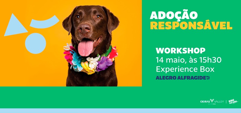 Município de Oeiras e Alegro Alfragide promovem workshop de Adoção Animal responsável