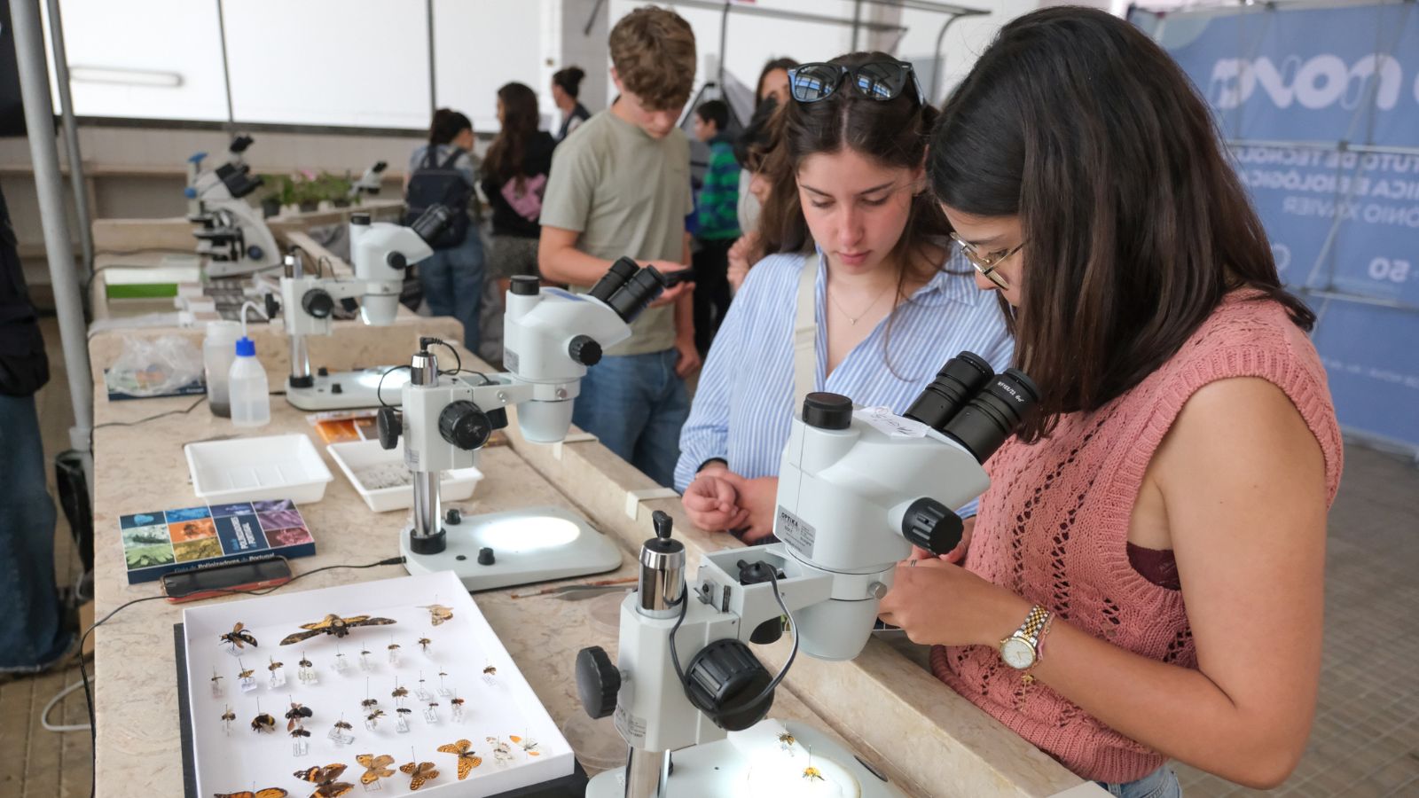 Fotografia de microscópio