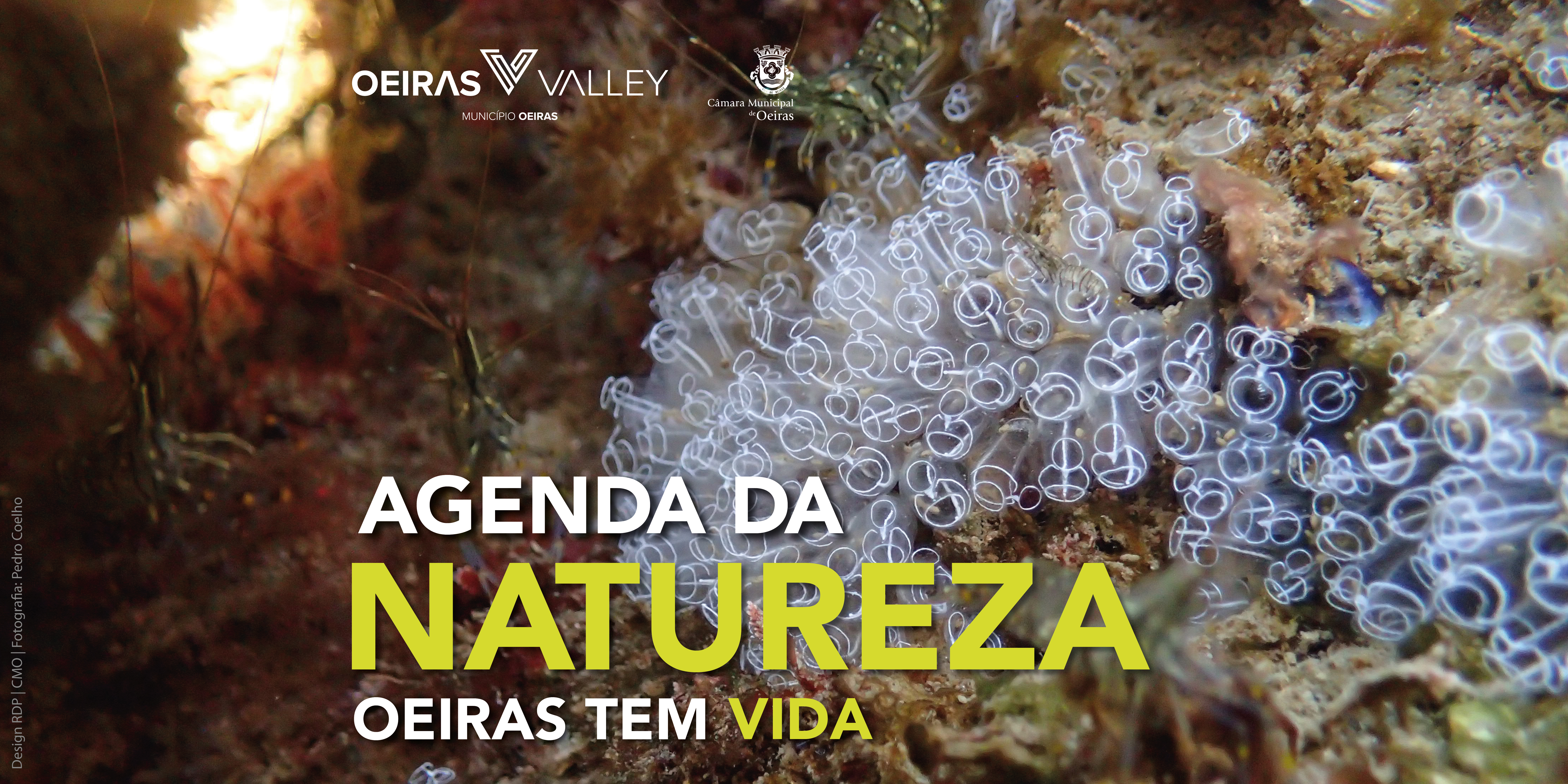 banner alusivo ao evento