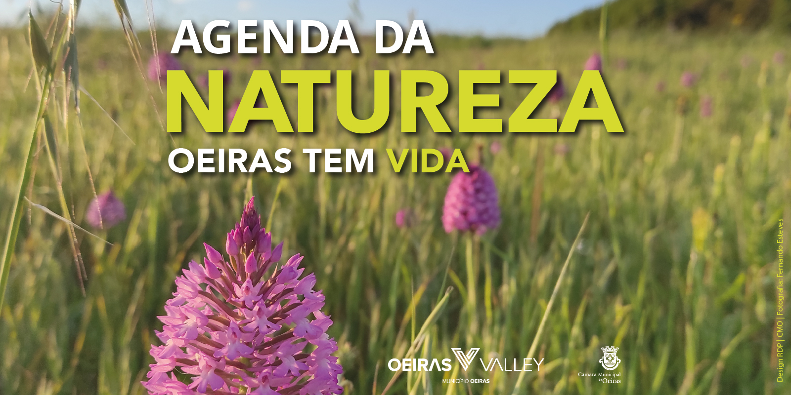 banner alusivo ao Evento