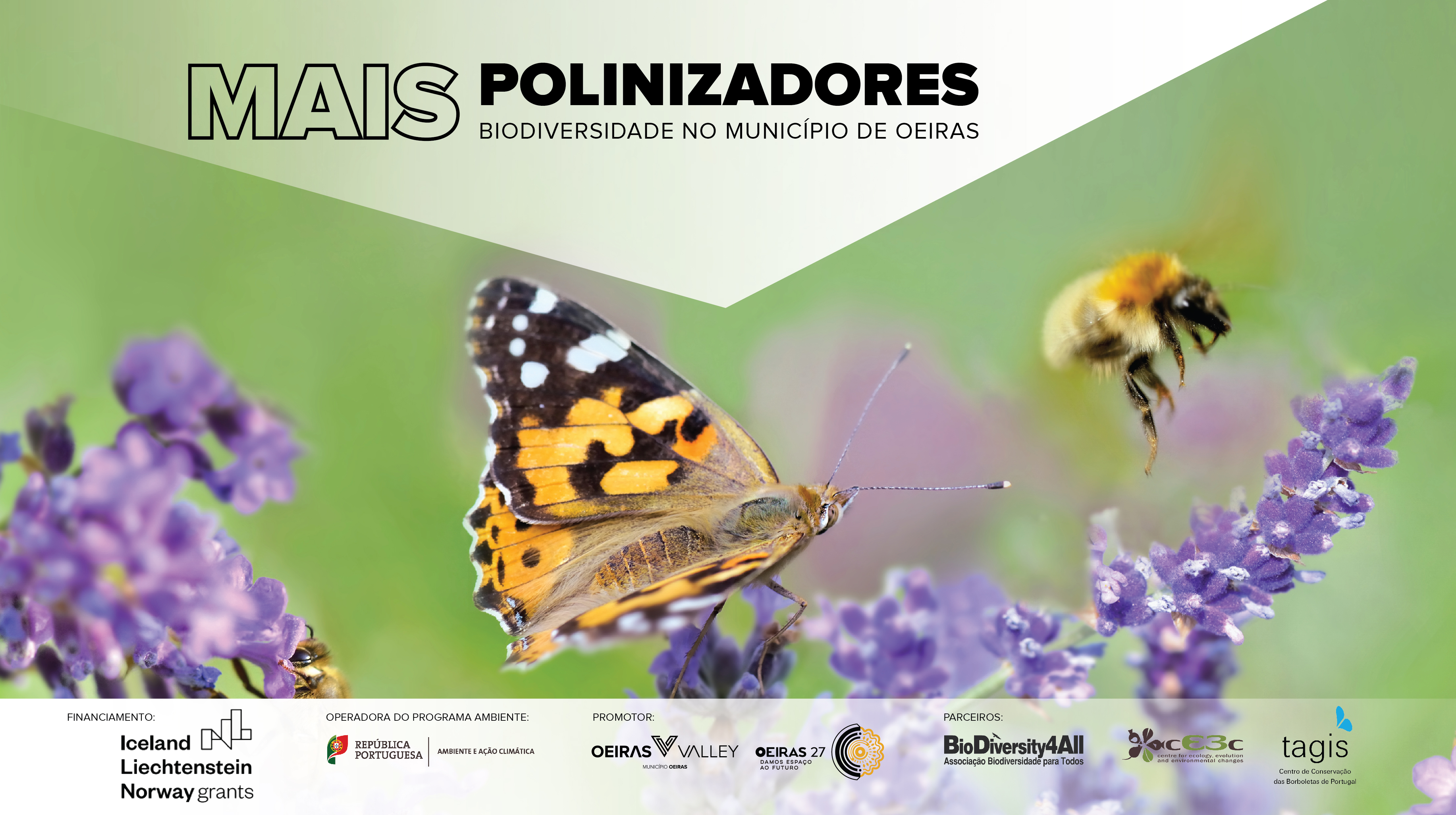 Poster Mais Polinizadores, Mais Biodiversidade