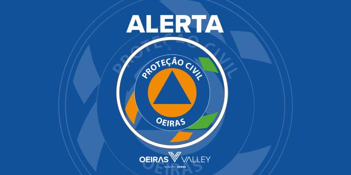 Alerta | Medidas Preventivas para a Queda de Árvores