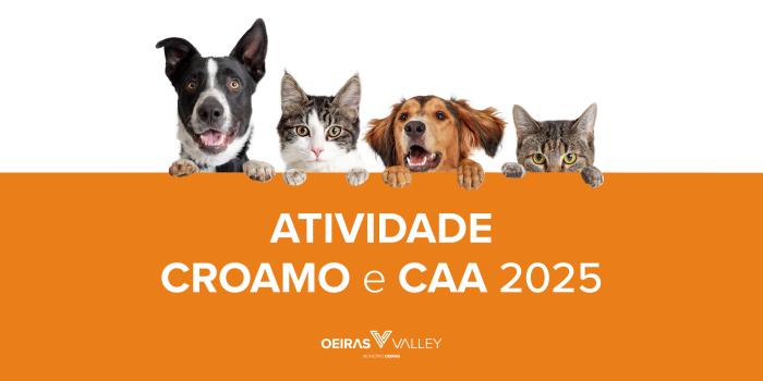 Atividade dos Centros de Recolha e Apoio ao Animal em 2025