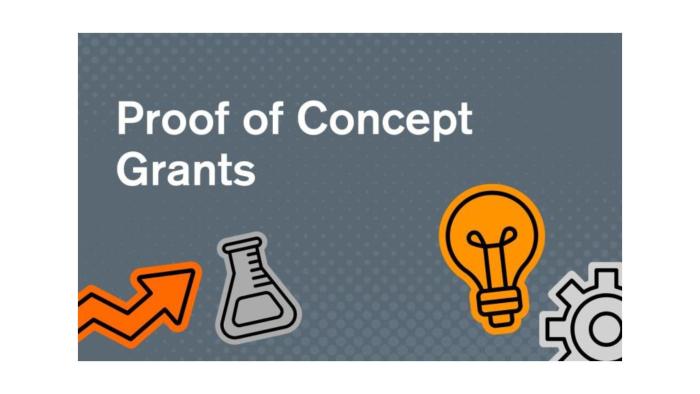 Investigadores de instituições parceiras do Município de Oeiras distinguidos com bolsas do Conselho Europeu de Investigação