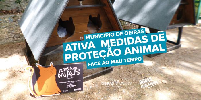 Município de Oeiras ativa protocolo de segurança para salvaguarda de animais durante período de intempérie