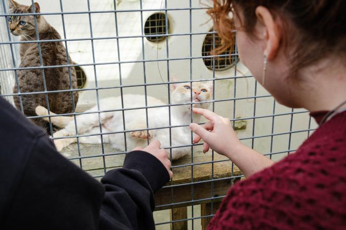 Voluntariado universitário no CROAMO: uma parceria que promove o bem-estar animal