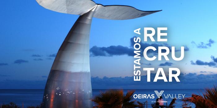 Procedimento Concursal | Topografia