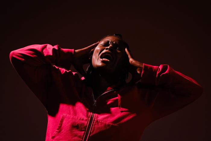 ‘As Criadas #Genet + Rego’ leva teatro e artes visuais ao Palácio Anjos