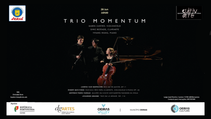 Concerto 'Trio Momentum'