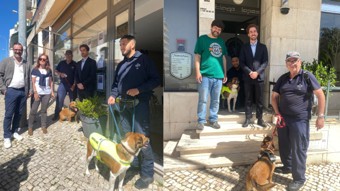 Oeiras tem uma nova rua Pet Friendly