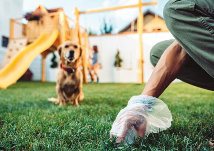 Campanha de Sensibilização | Dejetos Caninos 'O Meu Dono É Responsável, e o Teu?'